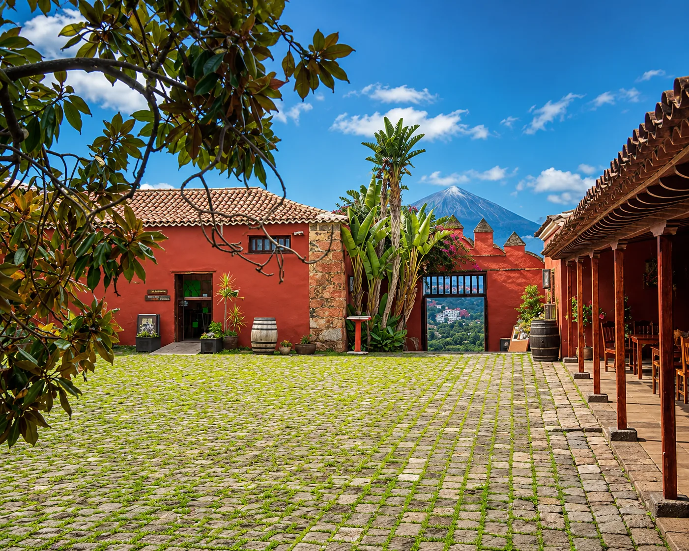 Casa del Vino 2