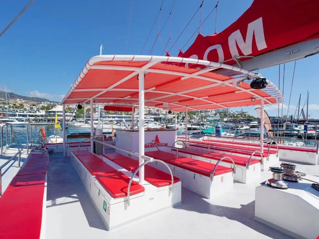 Maxicat Catamaran 20