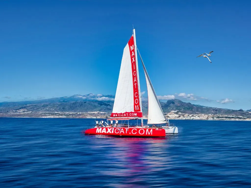 Maxicat Catamaran 24