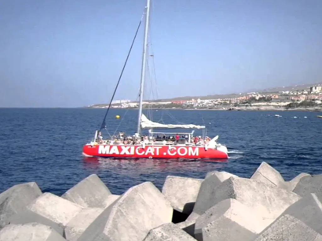 Maxicat Catamaran 4