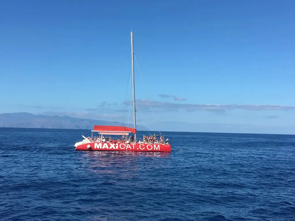 Maxicat Catamaran 6