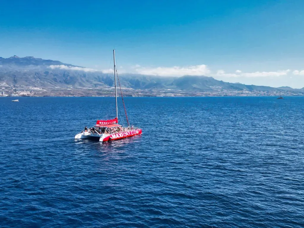Maxicat Catamaran 17
