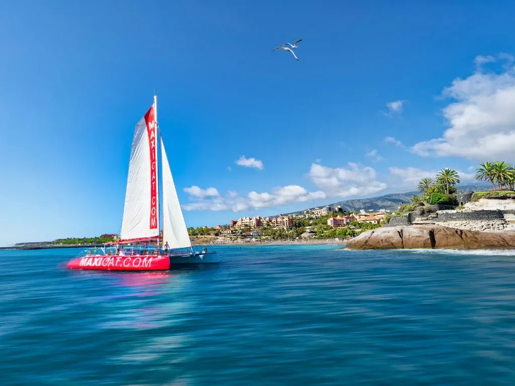 Maxicat Catamaran 18