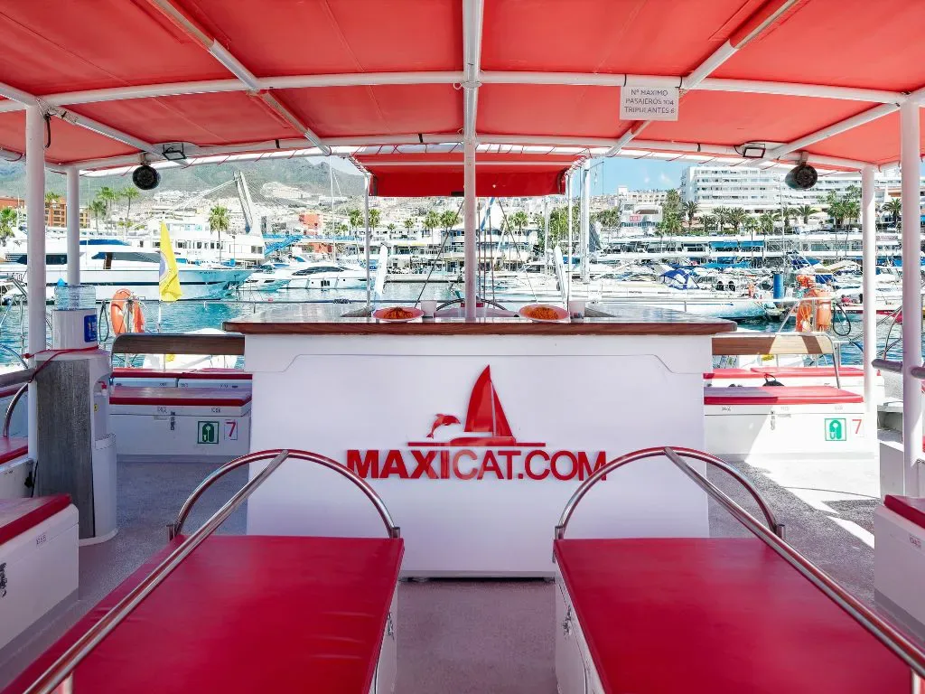 Maxicat Catamaran 19