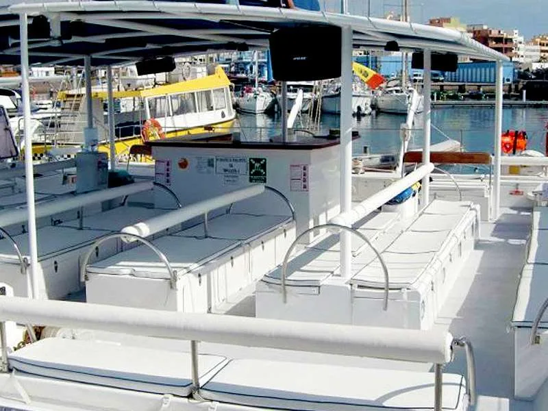 Maxicat Catamaran 10