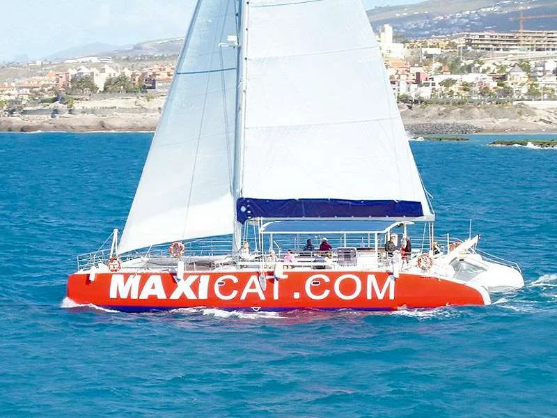 Maxicat Catamaran 13