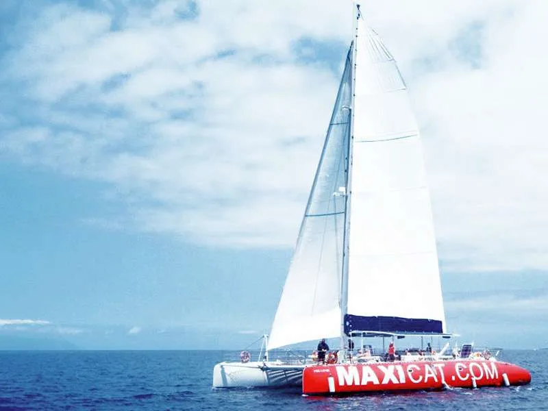 Maxicat Catamaran 8