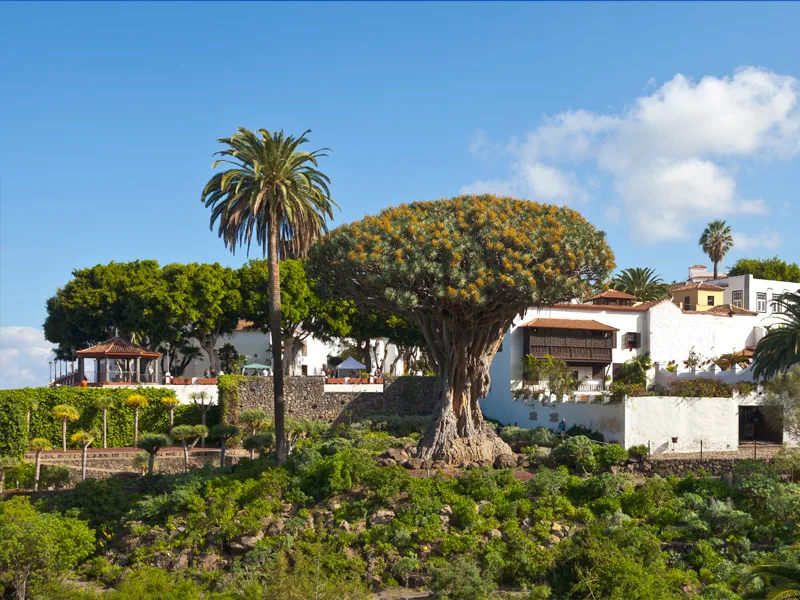 Teide Masca - Grand Tour 7