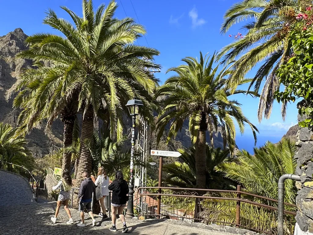 Teide Masca - Grand Tour 17