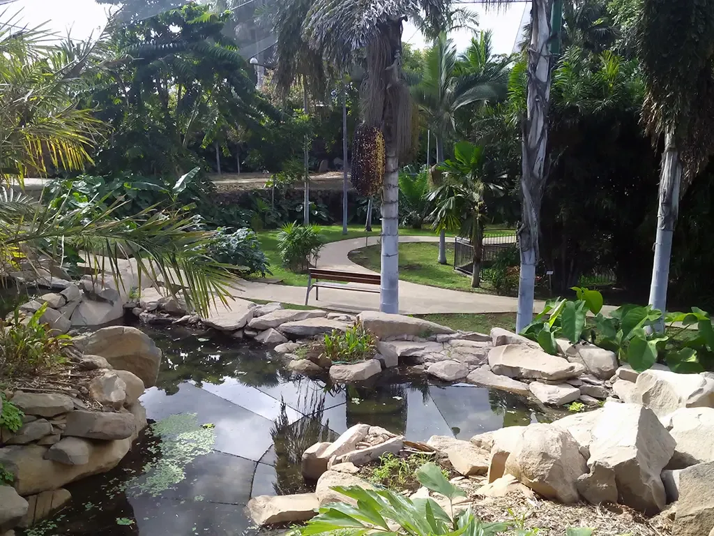 Palmetum Santa Cruz 9