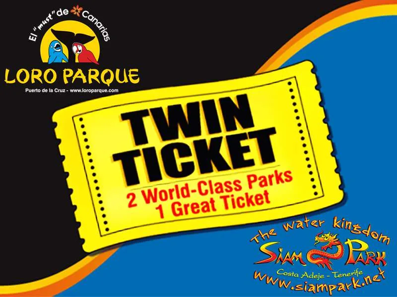 Twin Ticket 13