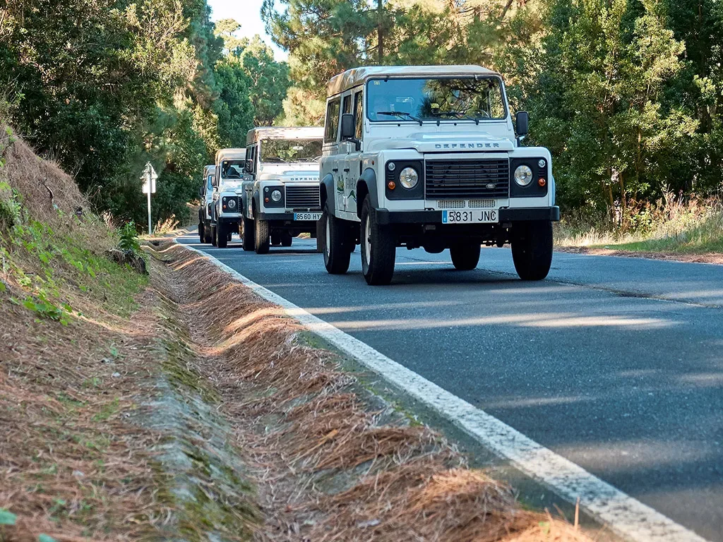 Jeep Safari Masca 6