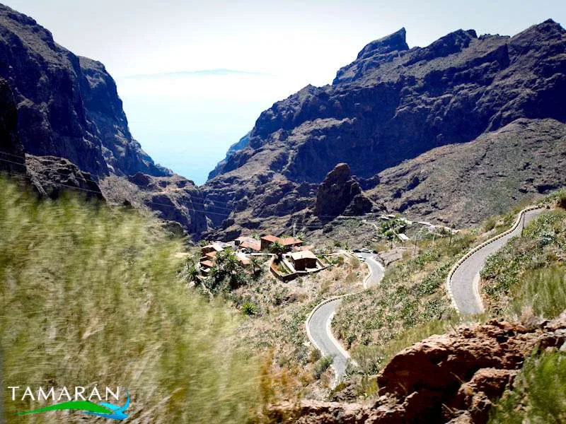 Jeep Safari Masca 7