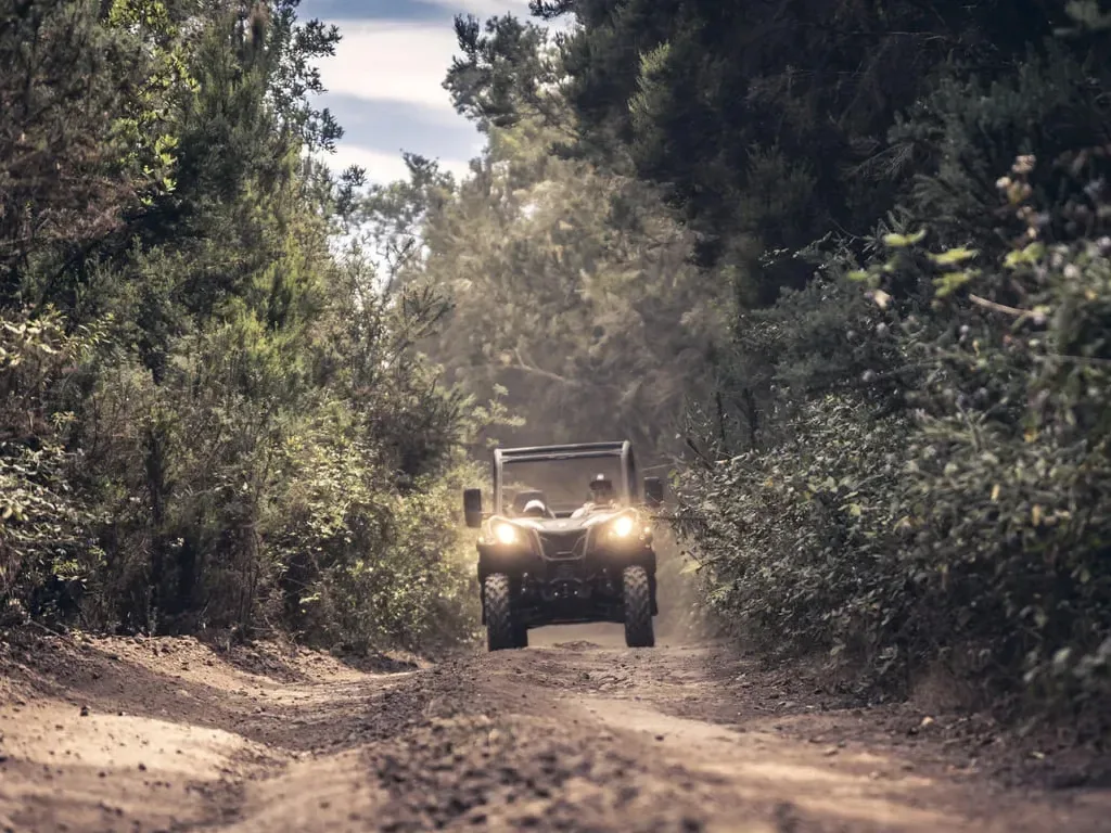 Buggy Safari Tenerife 3