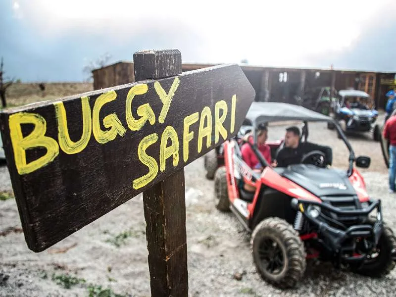 Buggy Safari Tenerife 11
