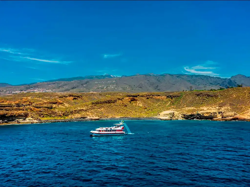 Royal Delfin 3