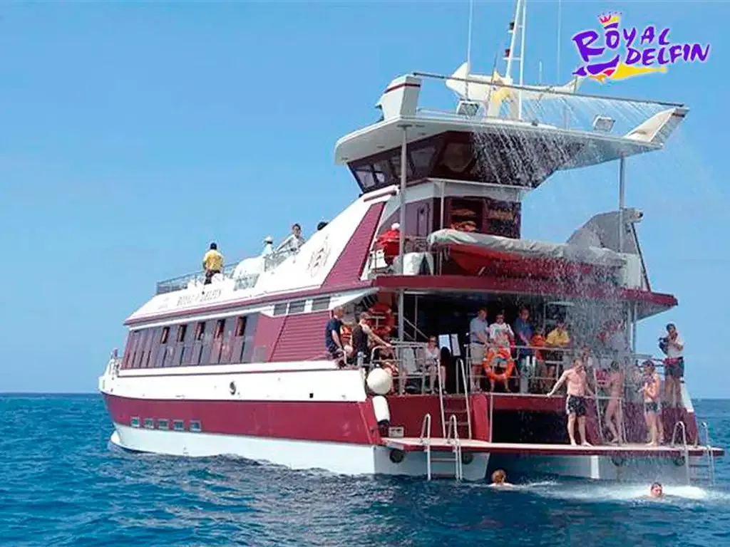 Royal Delfin 11