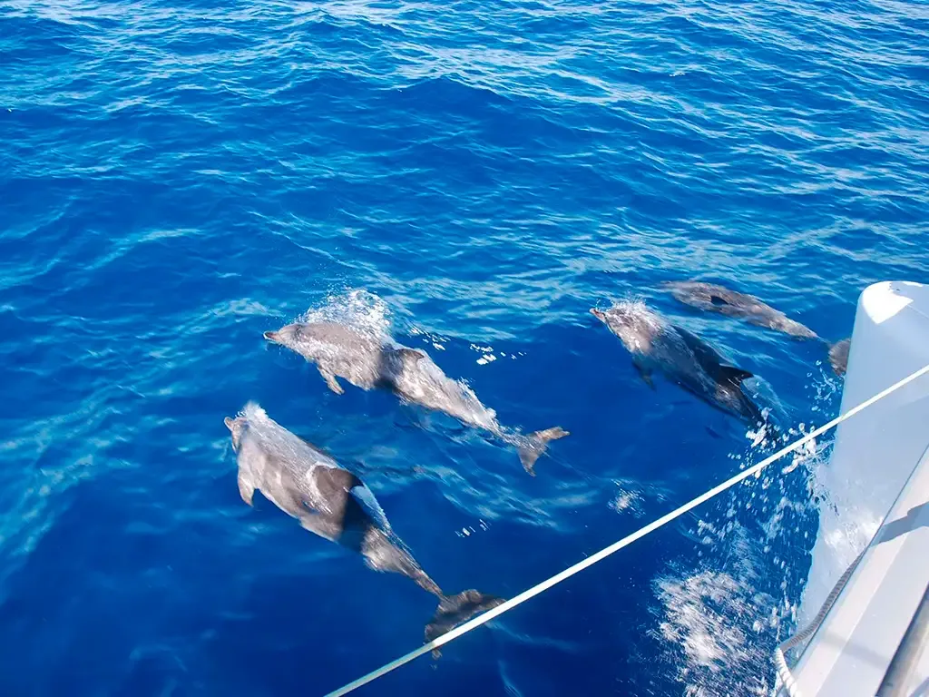 Blue Ocean Yacht Charter 3