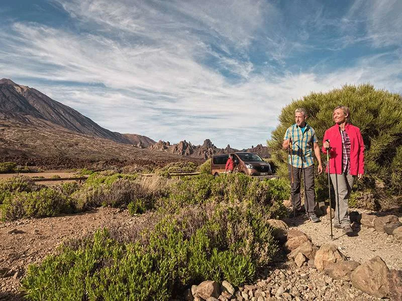 Teide Tour + Cable Car 15