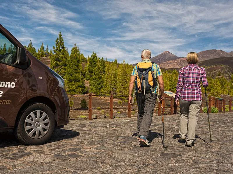 Teide Tour + Cable Car 13