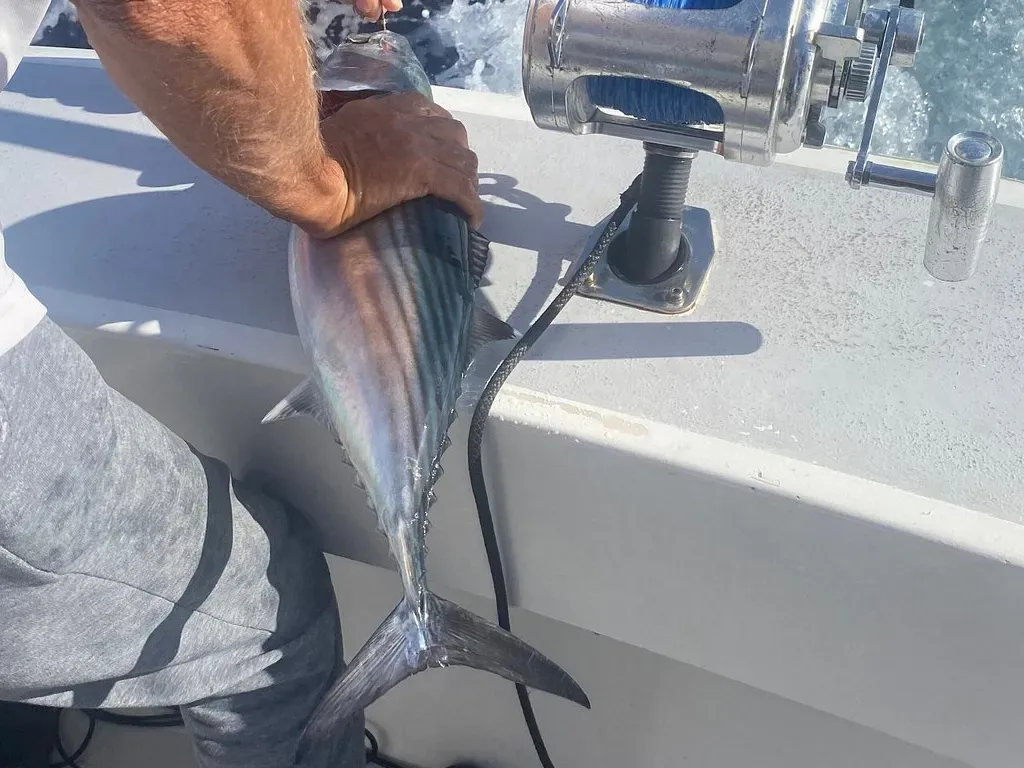 Yate Sofía Big Game Fishing 10