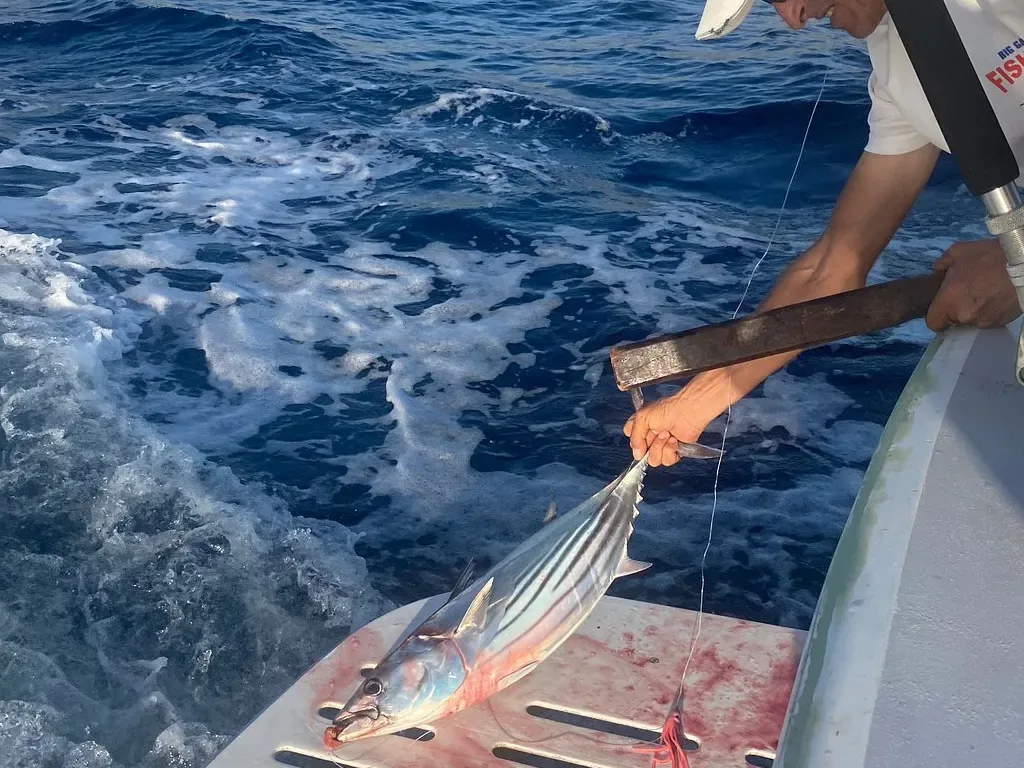 Yate Sofía Big Game Fishing 11