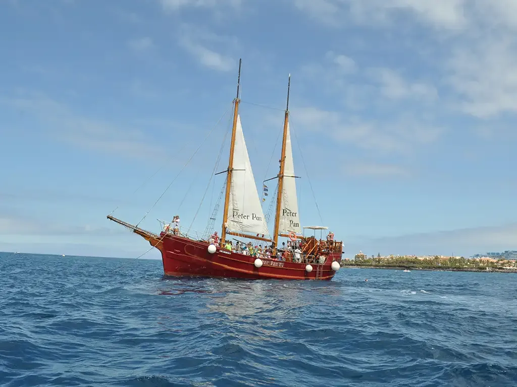Peter Pan 5