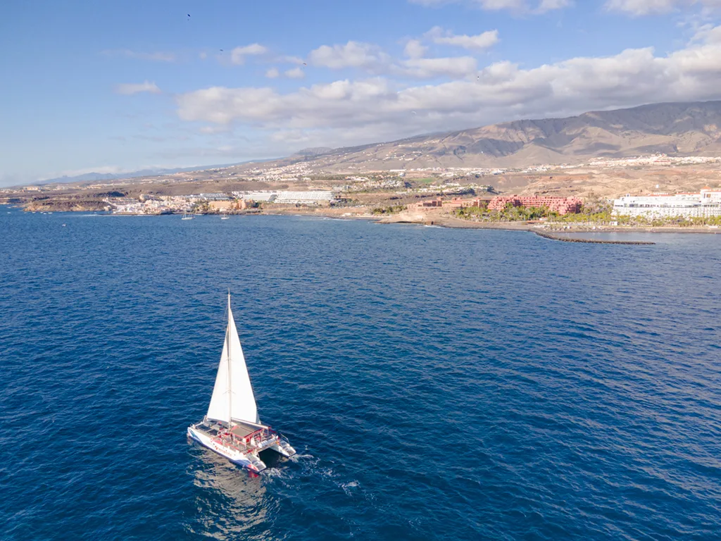 White Tenerife: Eco Catamaran 2