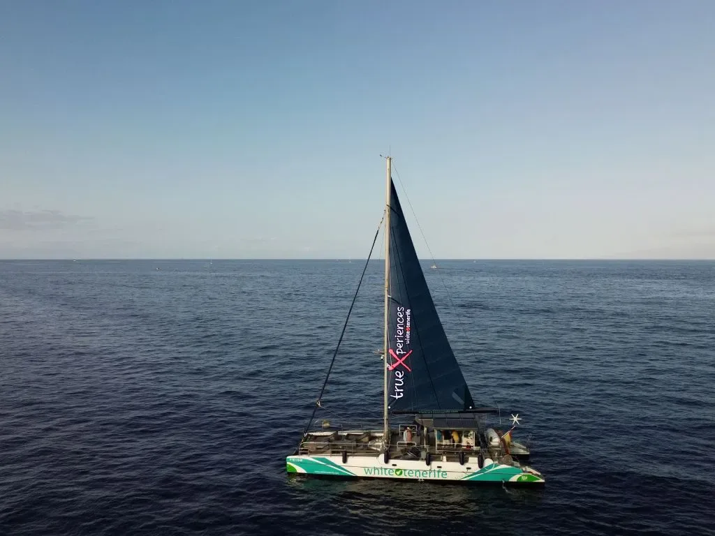 White Tenerife: Eco Catamaran