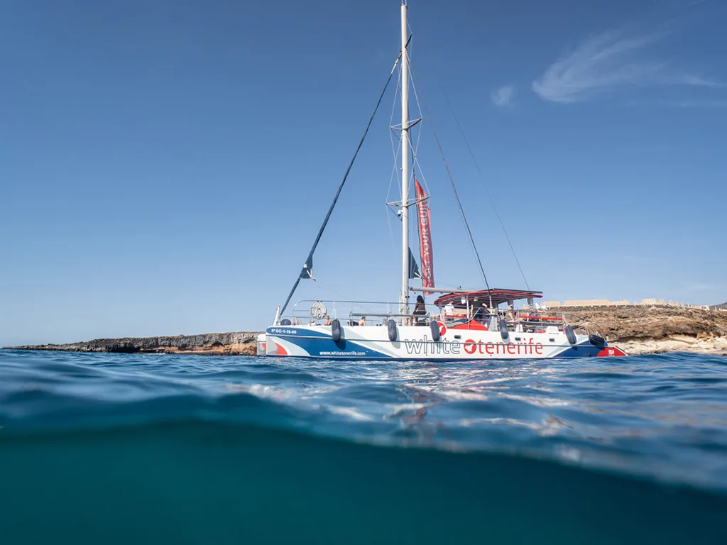 White Tenerife: Eco Catamaran 3