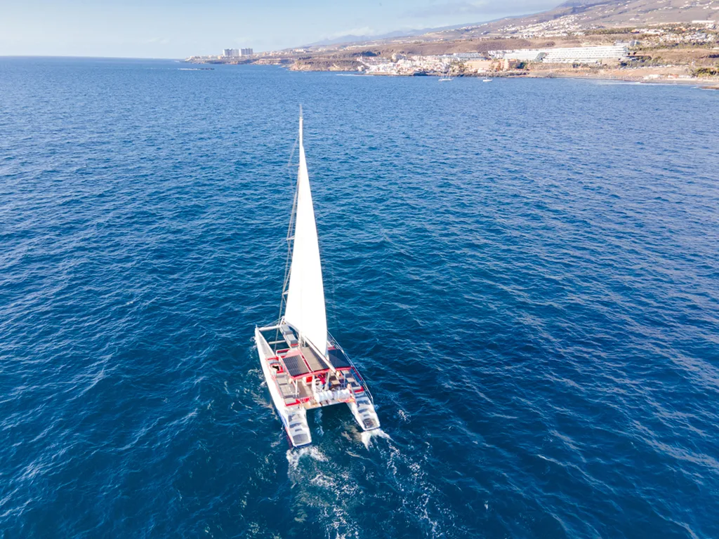White Tenerife: Eco Catamaran 6
