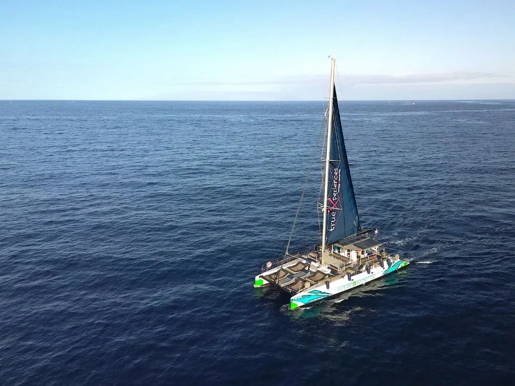 White Tenerife: Eco Catamaran 9