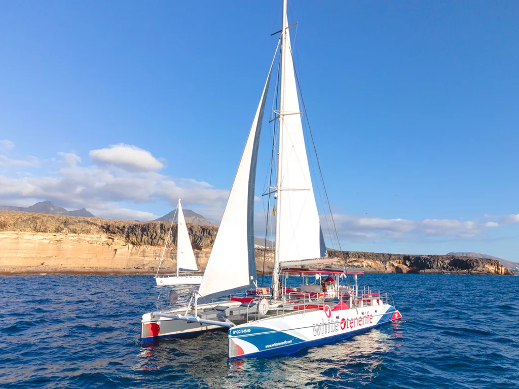White Tenerife: Eco Catamaran 11