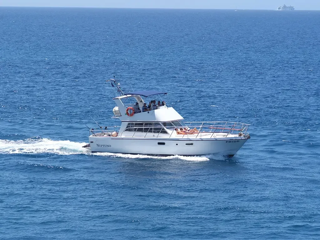 Neptuno 5