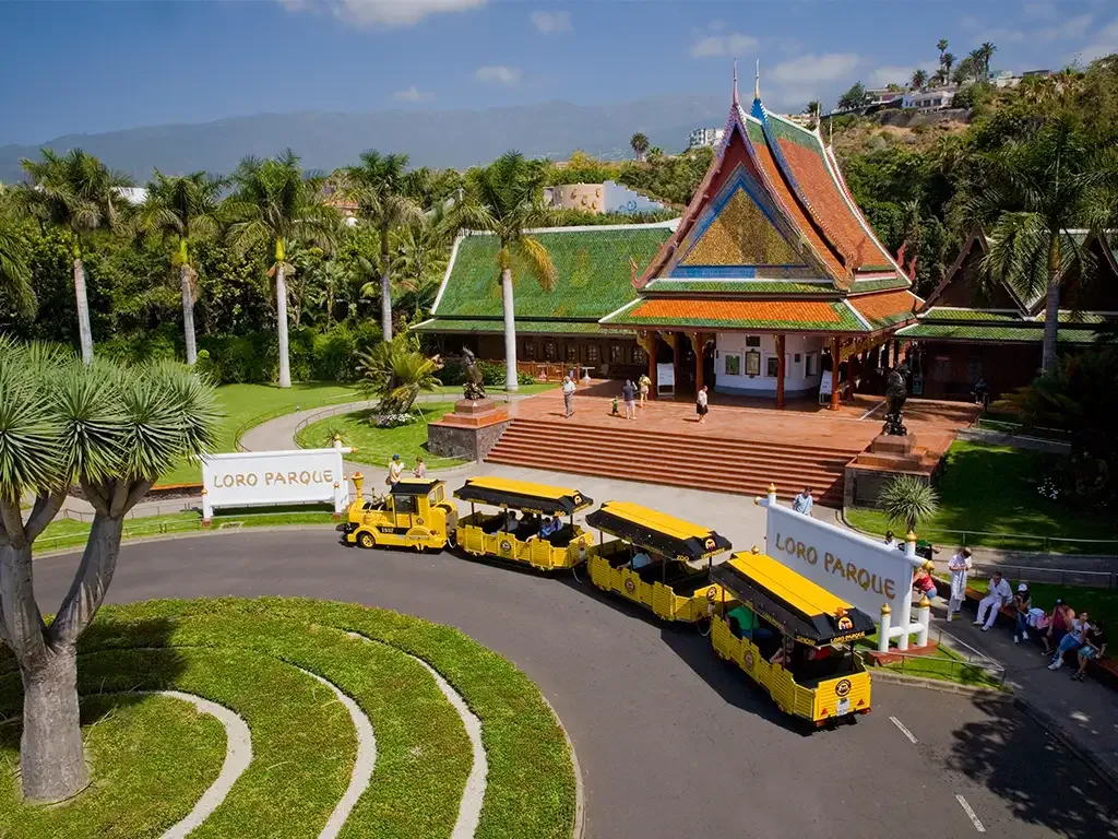 Loro Parque 2
