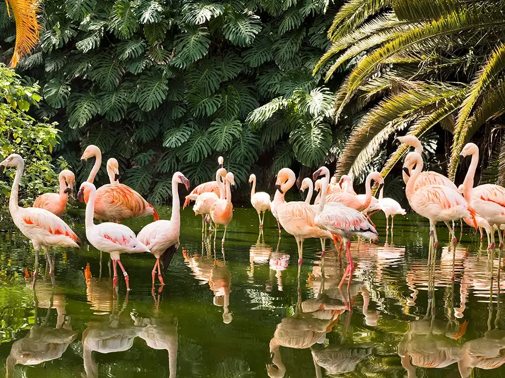 Loro Parque 3