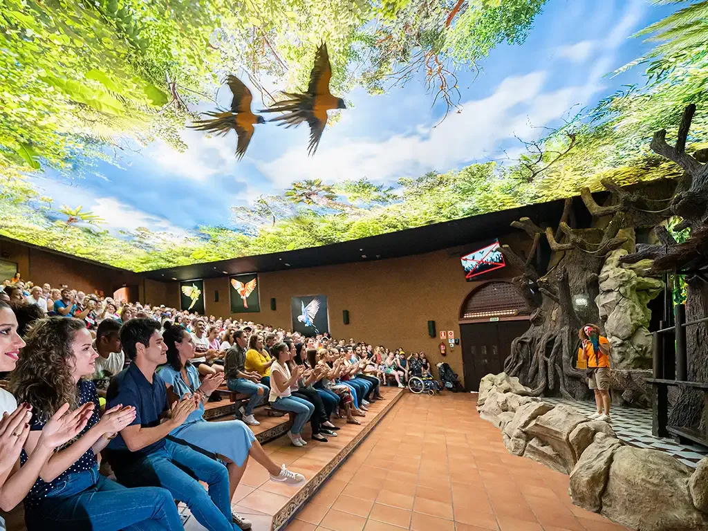 Loro Parque 5