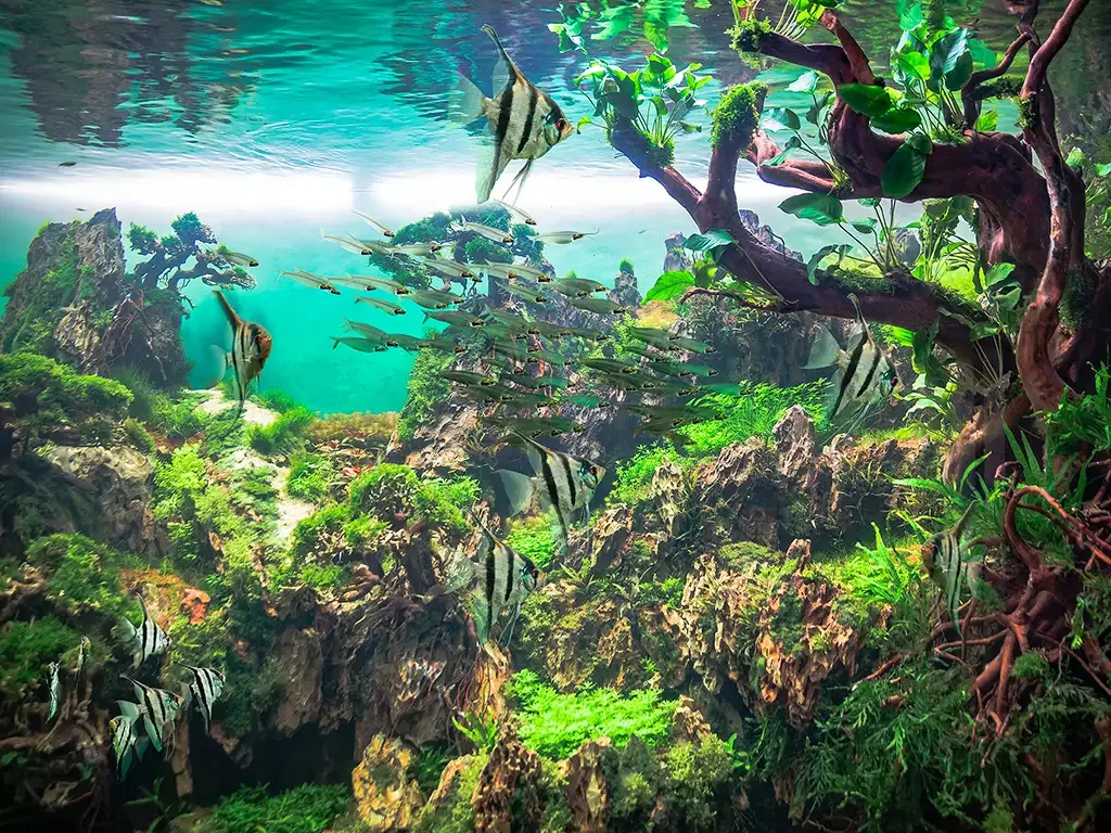 Loro Parque 10