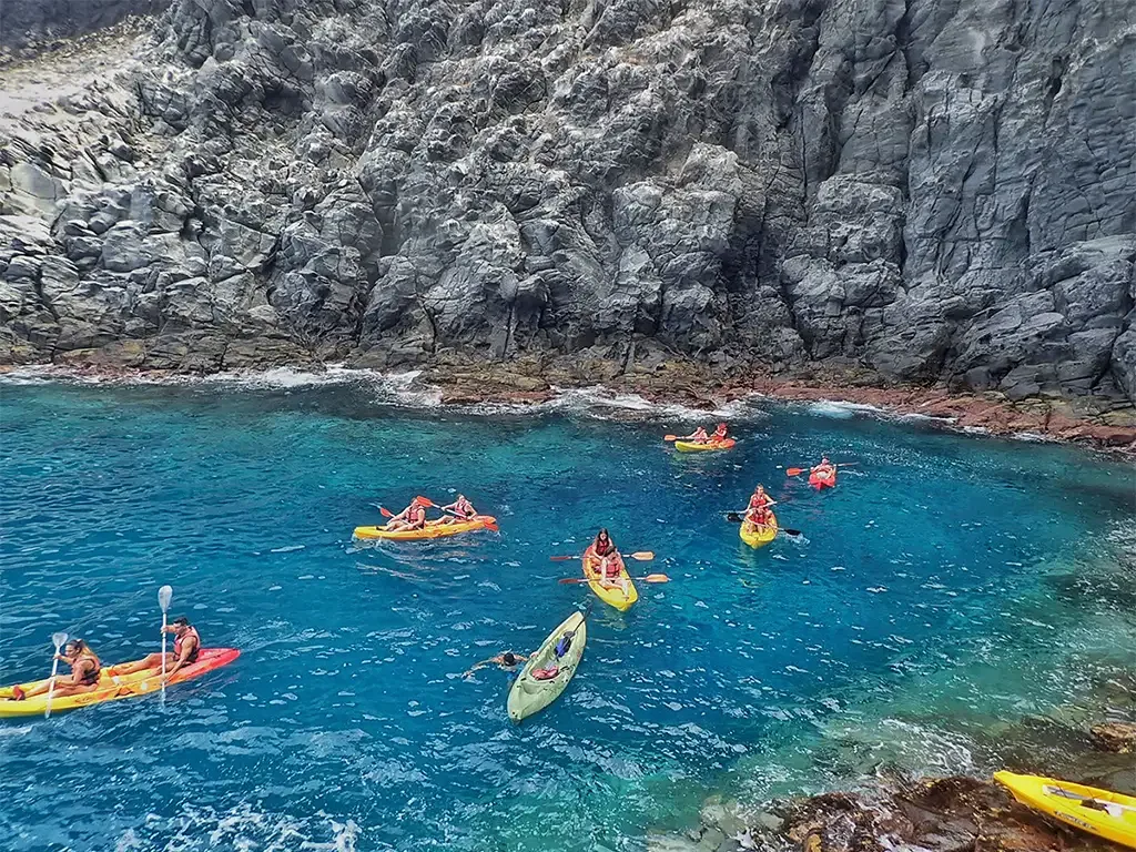 Adventoure - Safari Kayak Tour 2