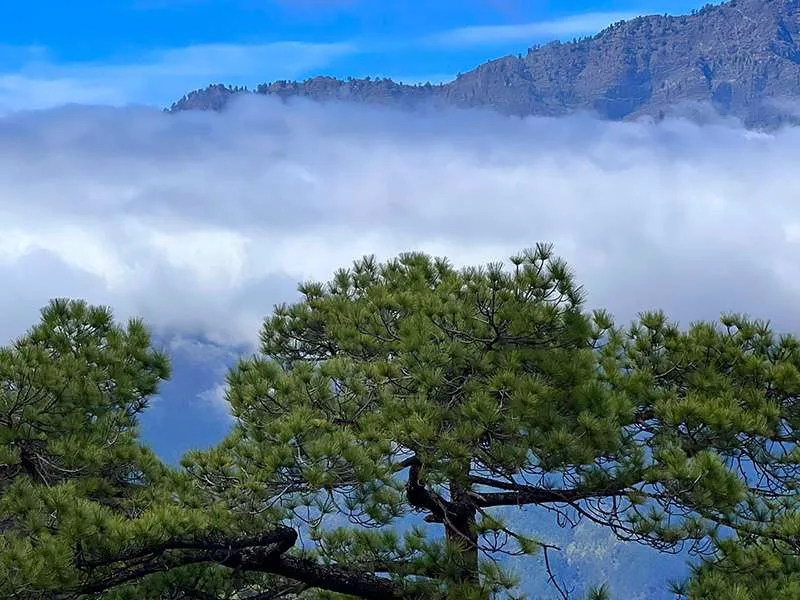 La Palma: Caldera de Taburiente and Tajogaite Volcano 8