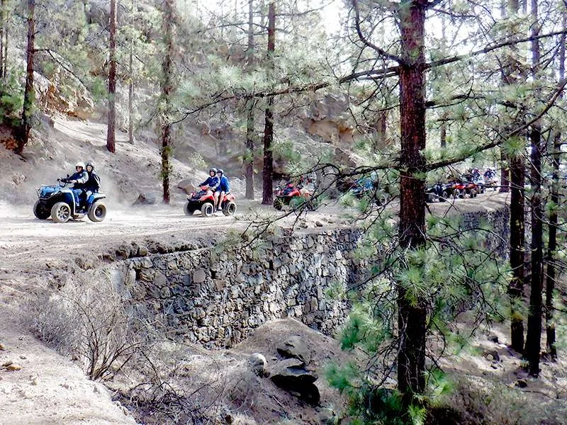 Quad Safari 11