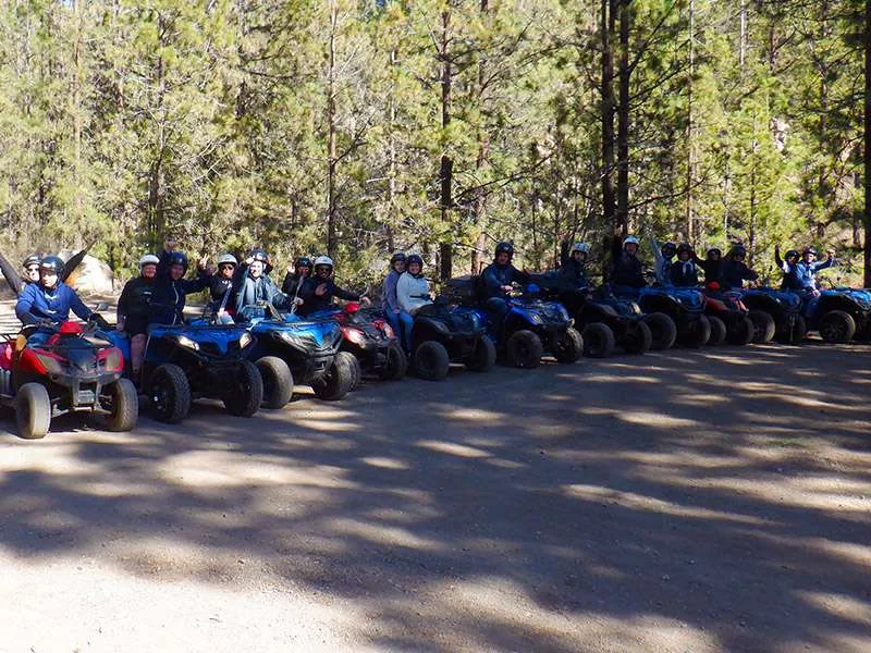 Quad Safari 12