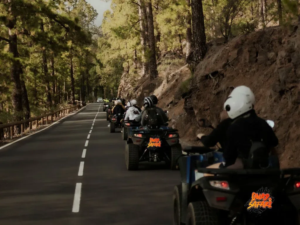 Quad Safari 20
