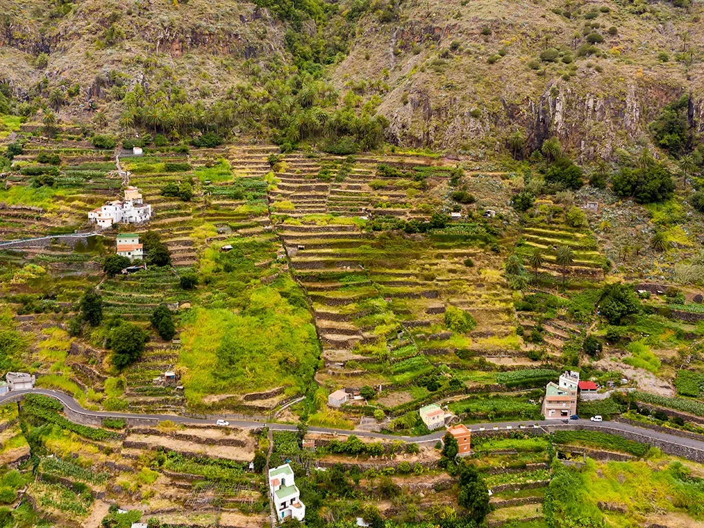 La Gomera 10