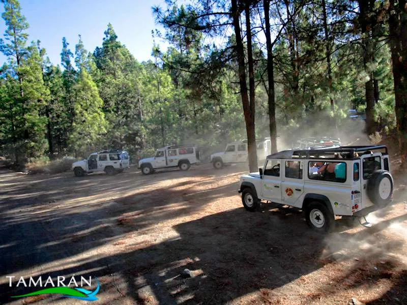 Jeep Safari Teide Masca 5