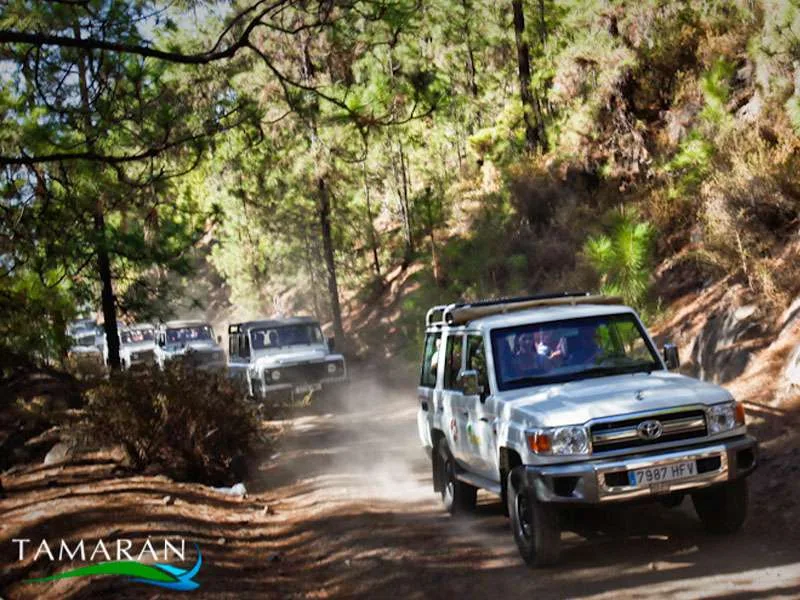 Jeep Safari Teide Masca 6