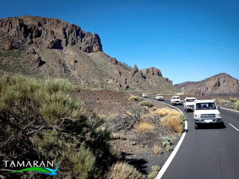 Jeep Safari Teide Masca 9