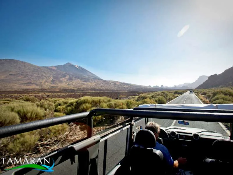Jeep Safari Teide Masca 10