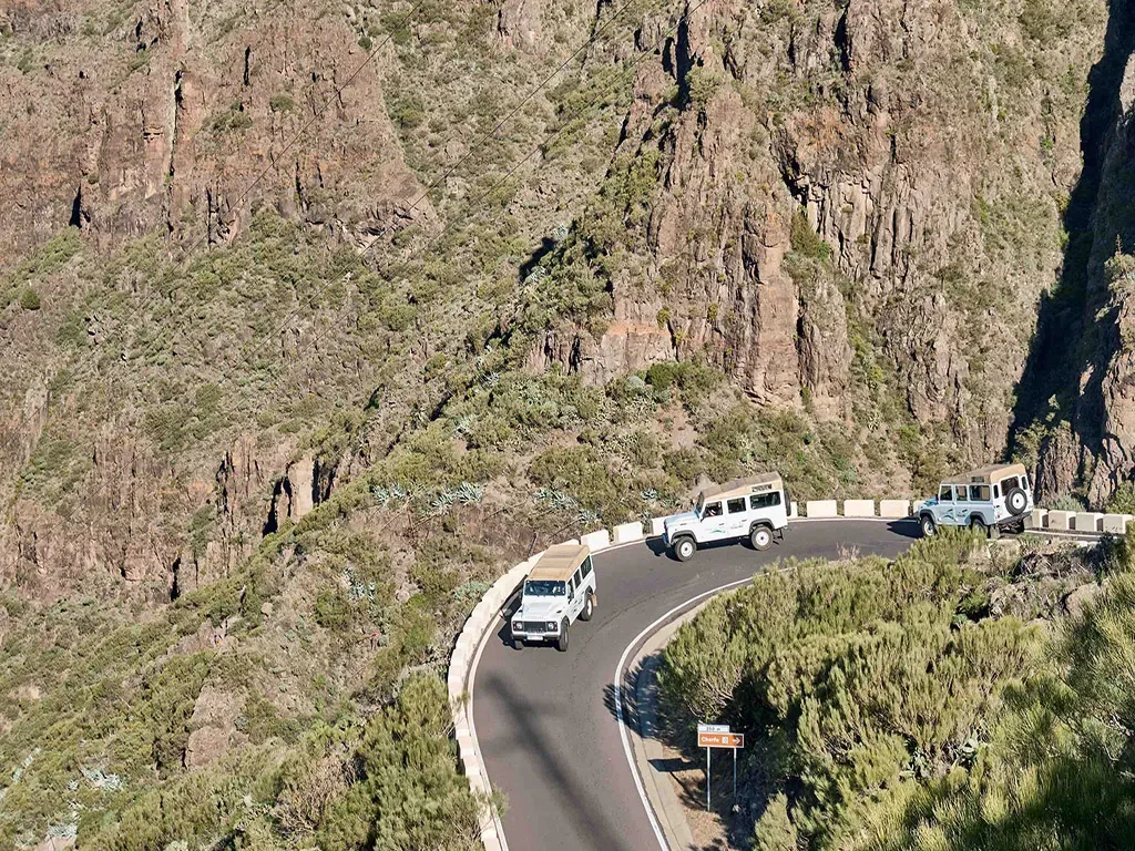 Jeep Safari Teide Masca 13