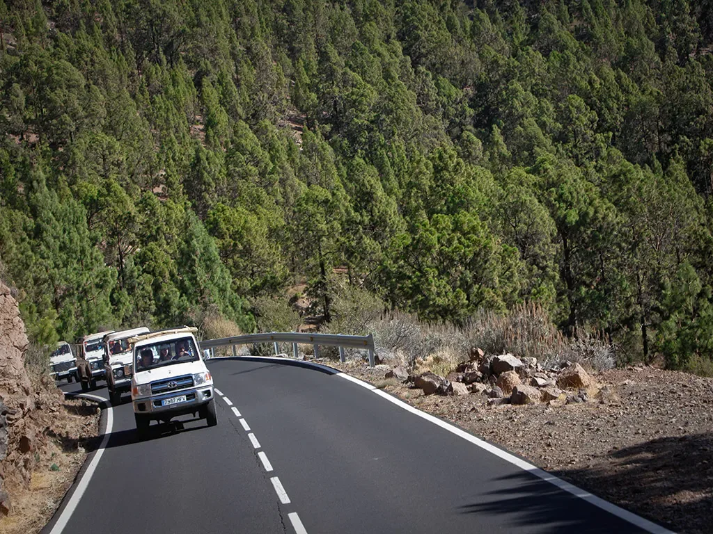 Jeep Safari Teide Masca 15